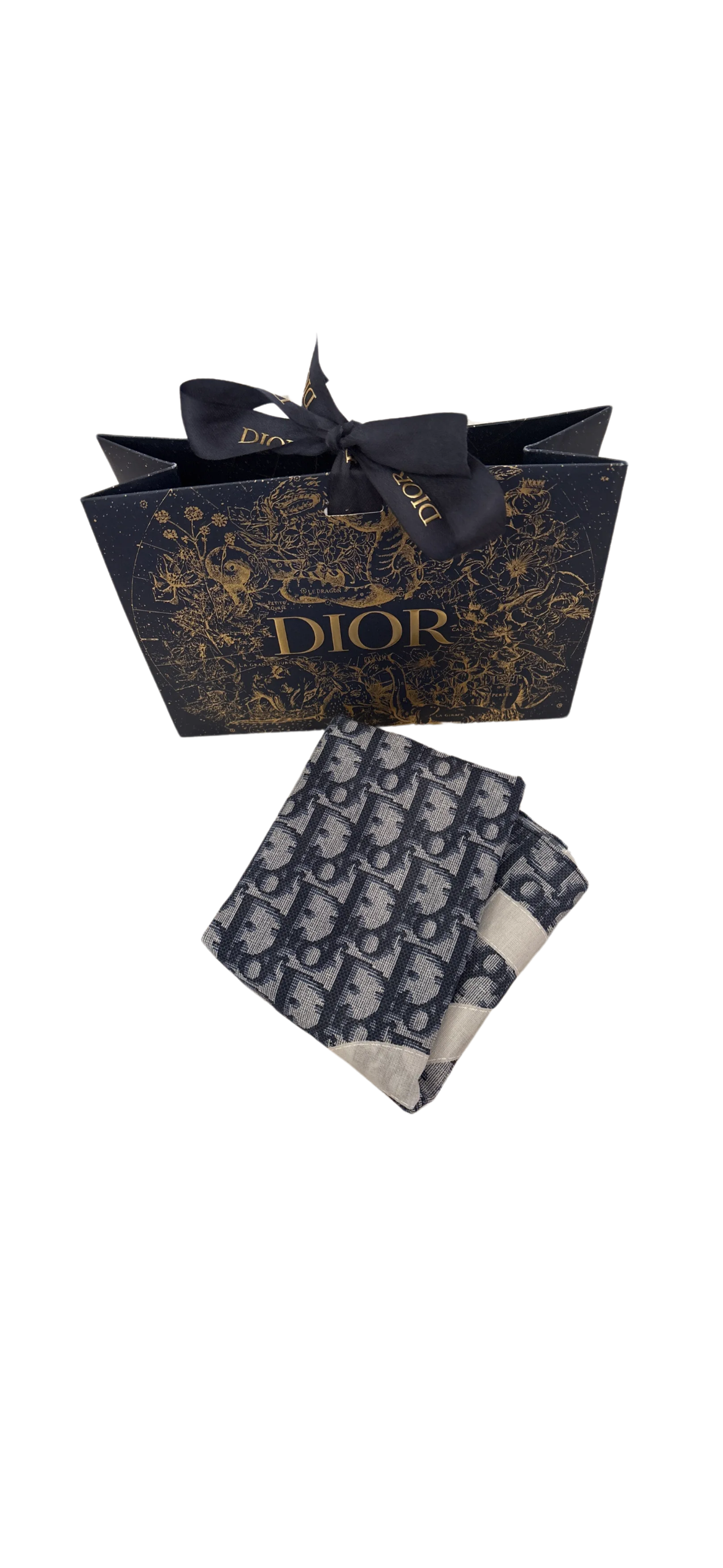 Dior scarf